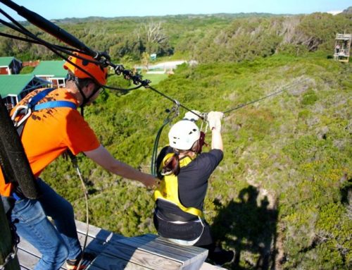 5 reasons zip-lining should be on your to-do list in 2020